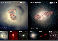 Two galaxies with active nuclei featured in a recent Nature review 