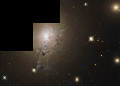 The peculiar elliptical galaxy NGC 1275 